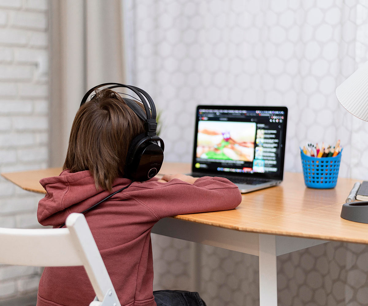 Professional virtual educators - A plus Virtual learning